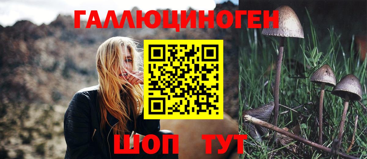 Трёхгорный  хочу   Псилоцибиновые грибы GOLDEN TEACHER  Вход с VPN  Галлюциногенные грибы Cubensis 